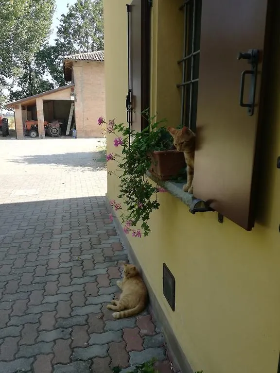 Agriturismo Flabeto 부드리오 팜스테이